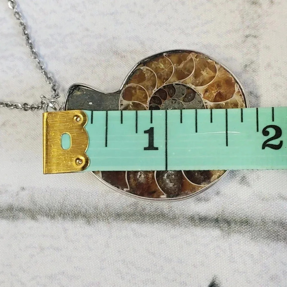 Ammonite Fossil Shell with Silver Plating - Picture 15 of 15